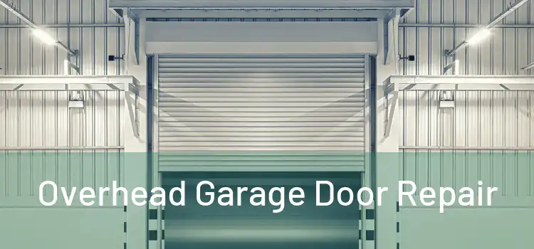  Overhead Garage Door Repair 